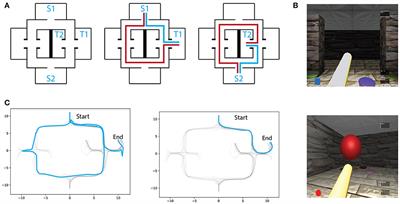 Human Vicarious Trial and Error Is Predictive of Spatial Navigation Performance